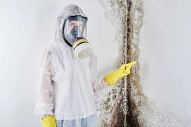 Professional Mold Prevention & Removal  in Emerald Mountain, AL